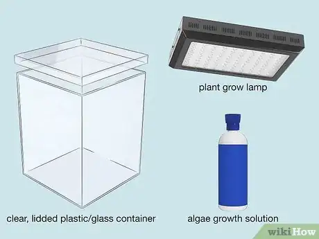 Image titled Grow Bioluminescent Algae at Home Step 2