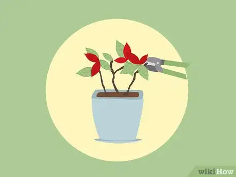 Image titled Care for Poinsettias Step 14