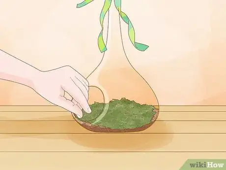 Image titled Make Moss Terrariums Step 11