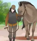 Be Safe Around Horses