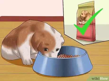 Image titled Choose a Healthy Puppy Step 14