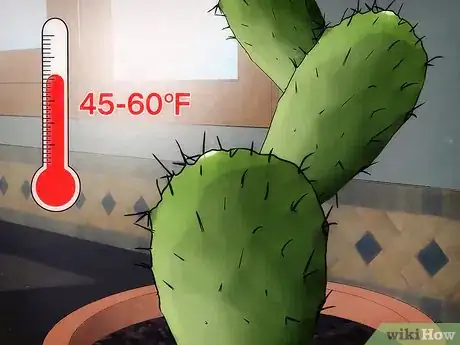 Image titled Save a Dying Cactus Step 10