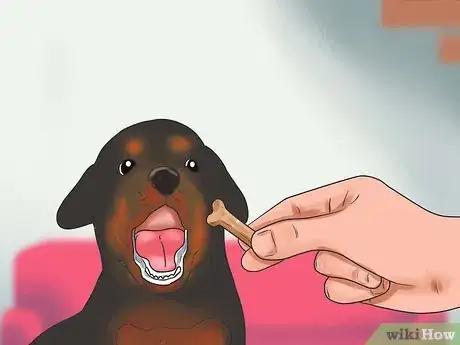 Image titled Train a Rottweiler Step 12