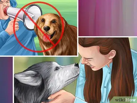 Image titled Give Your Dog Healthy Attention Step 1