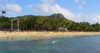 Take an Oahu Scenic Bus Ride