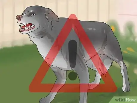 Image titled Tell if Your Dog Has Been Abused in the Past Step 9