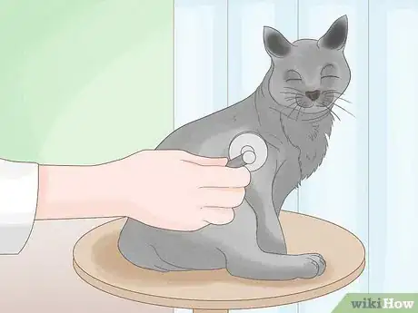 Image titled Get Rid of Worms in Cats Step 3