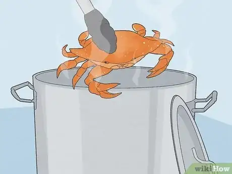 Image titled Eat a Maryland Blue Crab Step 8