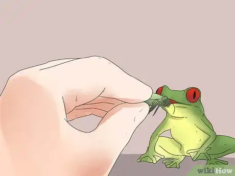 Image titled Take Care of Frogs Step 12