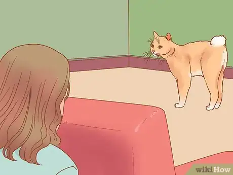 Image titled Know if Your Cat Is Afraid of Something Step 13