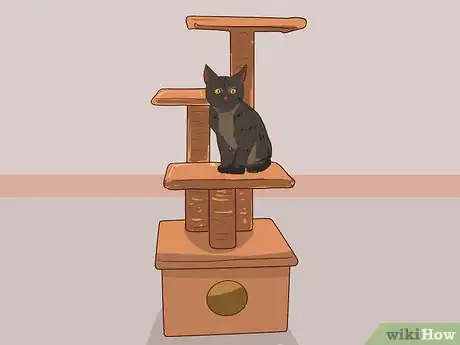 Image titled Stop a Kitten from Jumping Onto High Places Step 2