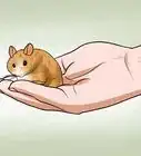 Handle a Hamster Without Being Bitten