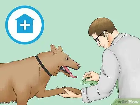 Image titled Remove Chewing Gum from a Dog's Hair Step 16