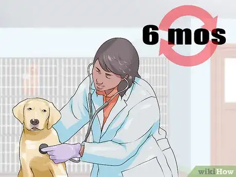 Image titled Treat Dog Dementia with Anipryl Step 8