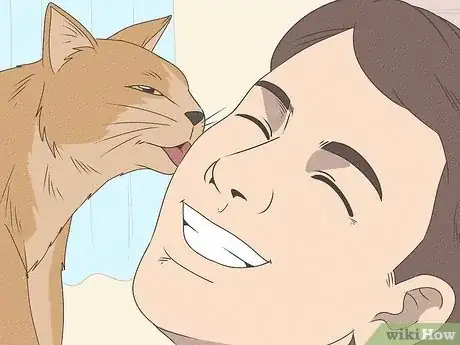 Image titled What Does It Mean when Your Cat Licks You Step 3