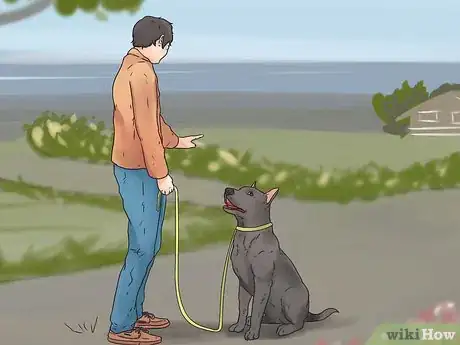 Image titled Teach Your Dog to Walk on a Leash Step 12