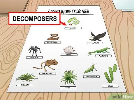 Image titled Draw a Food Web Step 10