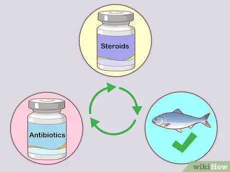 Image titled Diagnose and Treat Rodent Ulcers in Cats Step 9