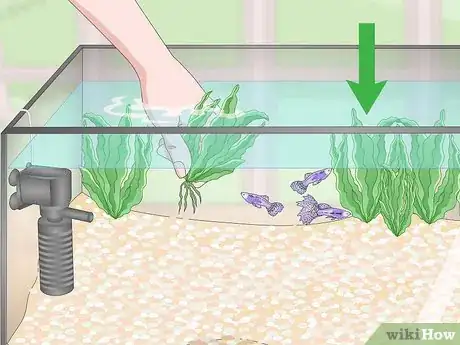 Image titled Lower Your Nitrate_Nitrite Levels in Your Fish Tank Step 7