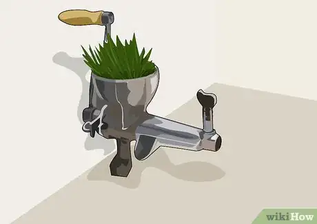 Image titled Juice Wheatgrass Step 5