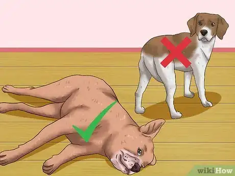 Image titled Rub a Dog's Tummy Step 1