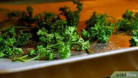 Image titled Preserve Fresh Parsley Step 24