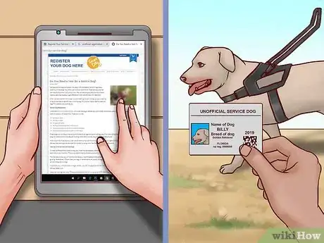 Image titled Register Your Dog As a Service Dog Step 4