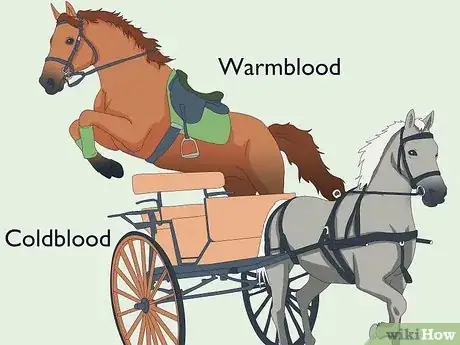 Image titled Warmblood vs Coldblood Step 1