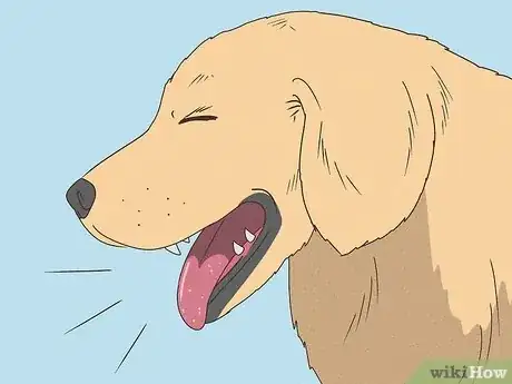 Image titled Tell if Your Dog Is Having a Medical Emergency Step 6