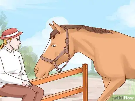 Image titled Take Care of Your Horse Step 15