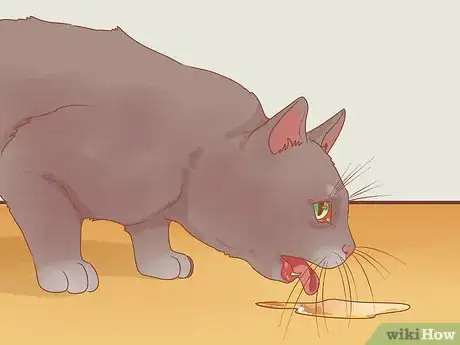 Image titled Put Your Cat to Sleep Step 1