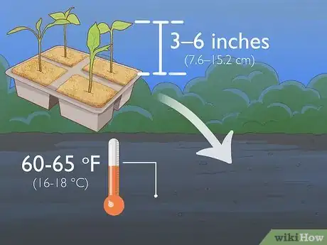 Image titled Grow Jalapeno Peppers Step 7