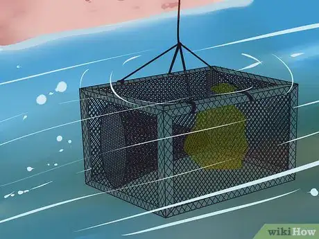 Image titled Make a Fish Trap Step 13