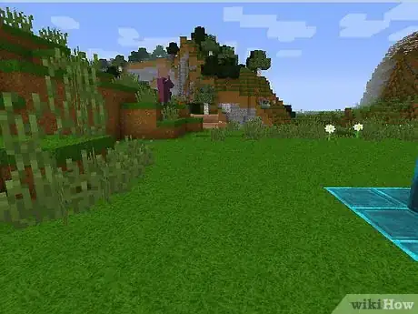 Image titled Take a Screenshot in Minecraft PC Step 1