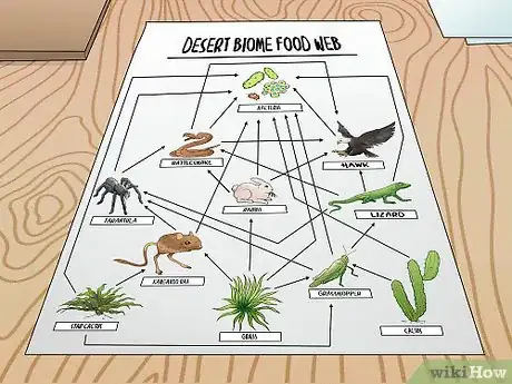 Image titled Draw a Food Web Step 11