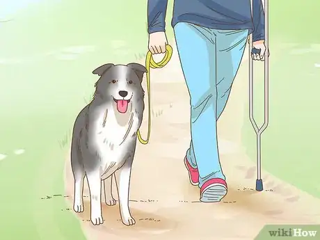 Image titled Get a Service Dog if You're Blind or Visually Impaired Step 9