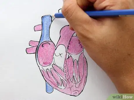 Image titled Draw the Internal Structure of the Heart Step 14