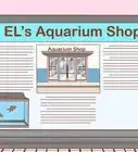 Start an Aquarium Shop