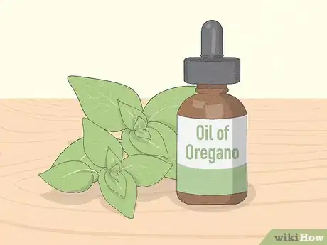 Image titled Use Oregano Oil to Treat a Respiratory Infections Step 1