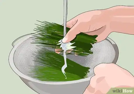 Image titled Juice Wheatgrass Step 2