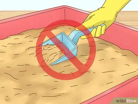 Image titled Care for Hamster Babies Step 12