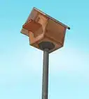 Hang a Bird House