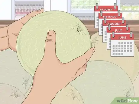 Image titled Choose a Honeydew Melon Step 1