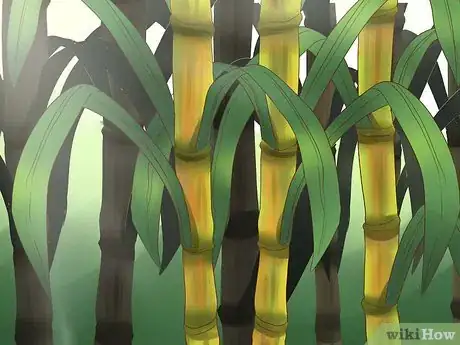 Image titled Plant Sugar Cane Step 1