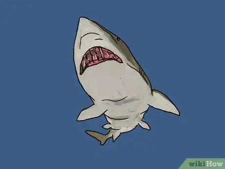 Image titled Draw a Shark Step 17