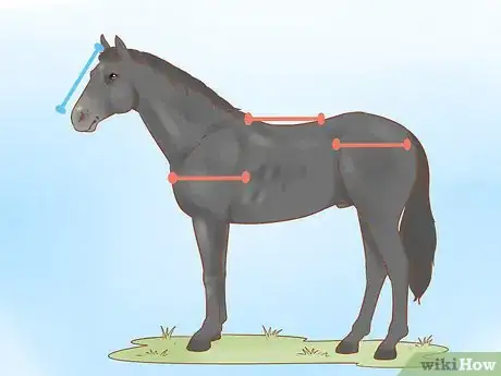 Image titled Judge a Horse Step 3