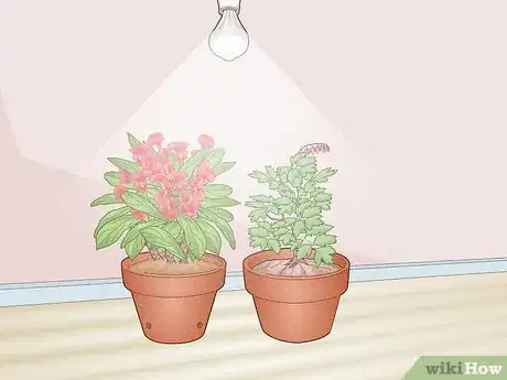 Image titled Can LED Lights Grow Plants Step 1