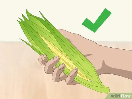 Image titled Store Sweet Corn Step 1