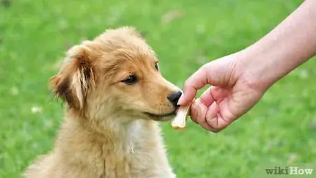 Image titled Teach a Puppy to Come Step 12