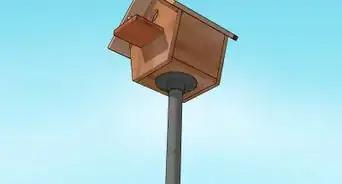 Hang a Bird House